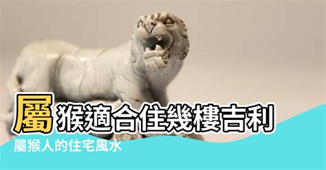 屬猴適合樓層